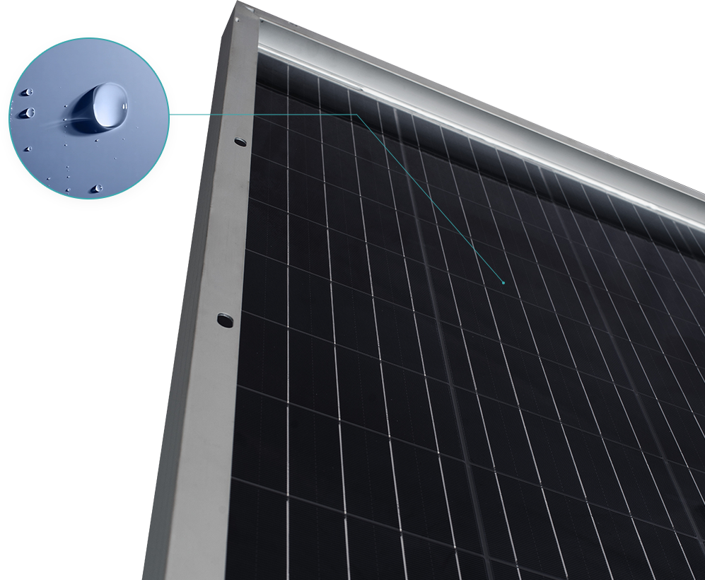 ��ҳ- �������ǲ��й��������